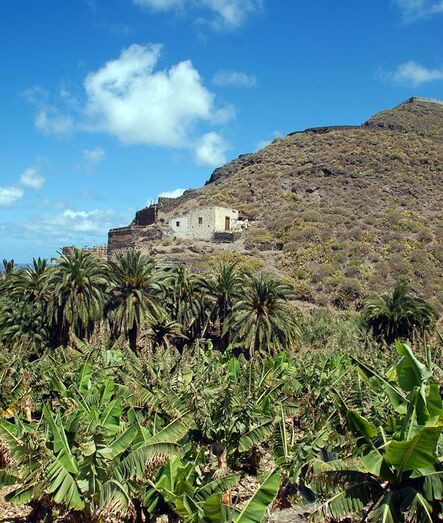 Impresión de verdes en la costa de Moya