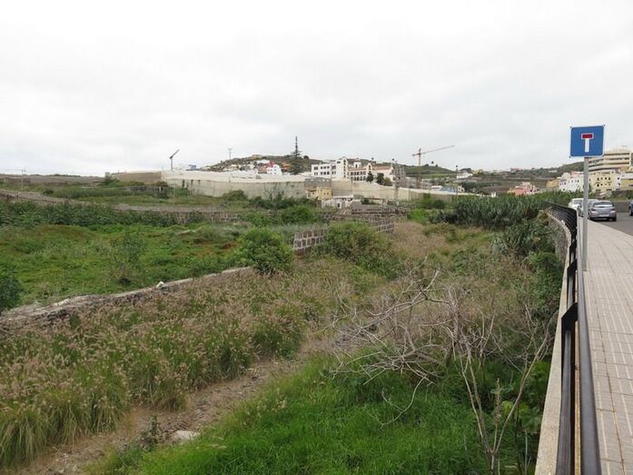 molinos25