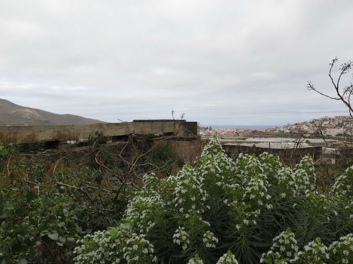 molinos28