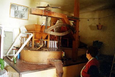 molinos29