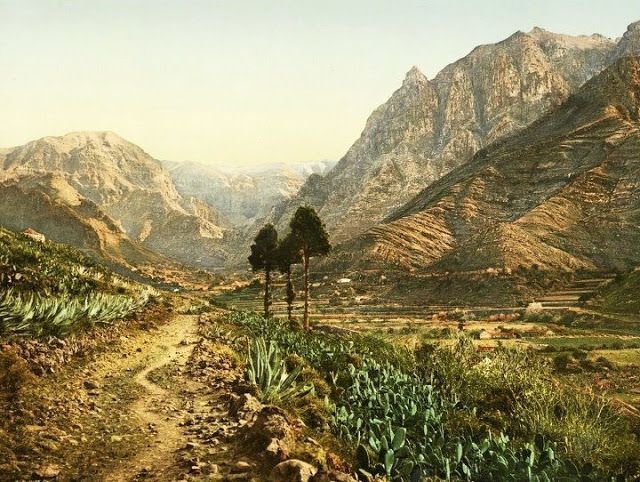 Camino de los Berrazales a principios del siglo XX(Fedac)
