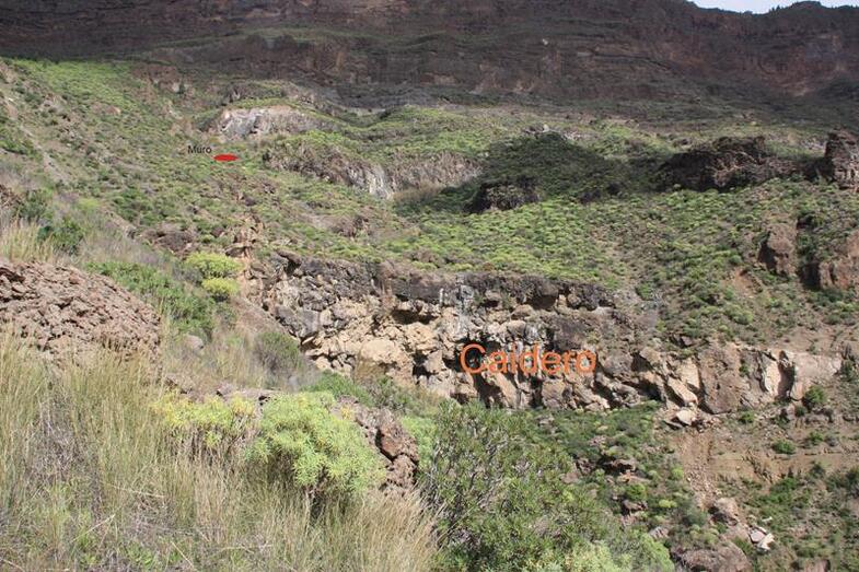 Cagarrutal 07