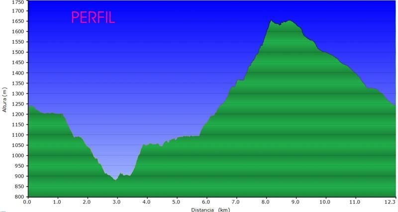 Cagarrutal 19