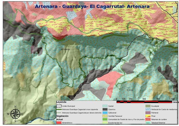 Cagarrutal 24