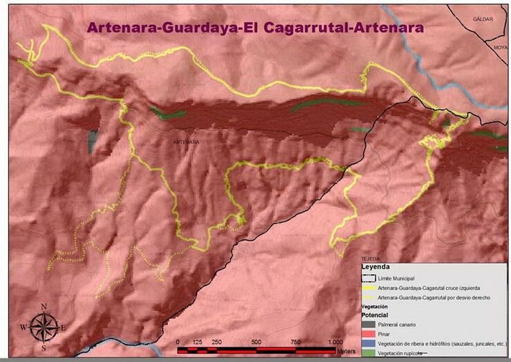 Cagarrutal 25