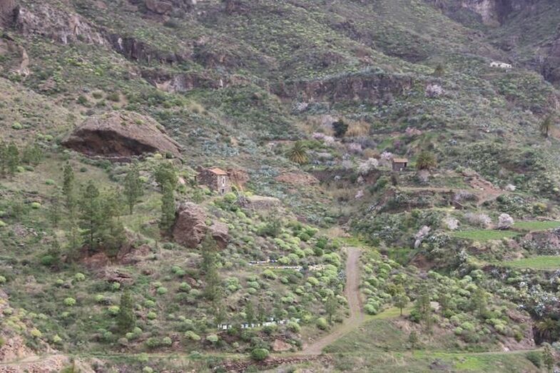 Cagarrutal 04