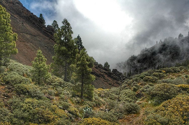 Barranco de la Caldera