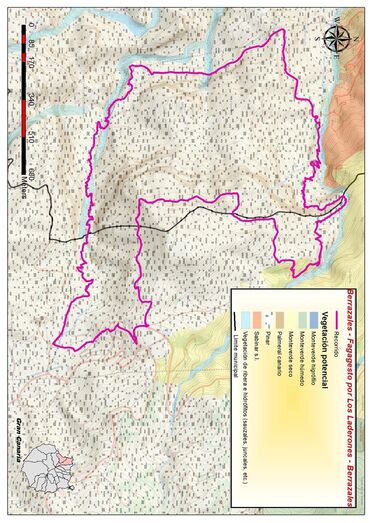 15 Berrazales Fagagesto por laderones de M Gorda veg potencial Copy