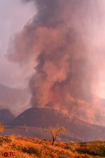 96e2e545 1904 4bab abbf 24ceb49f2ca1