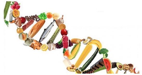 alimentacion02