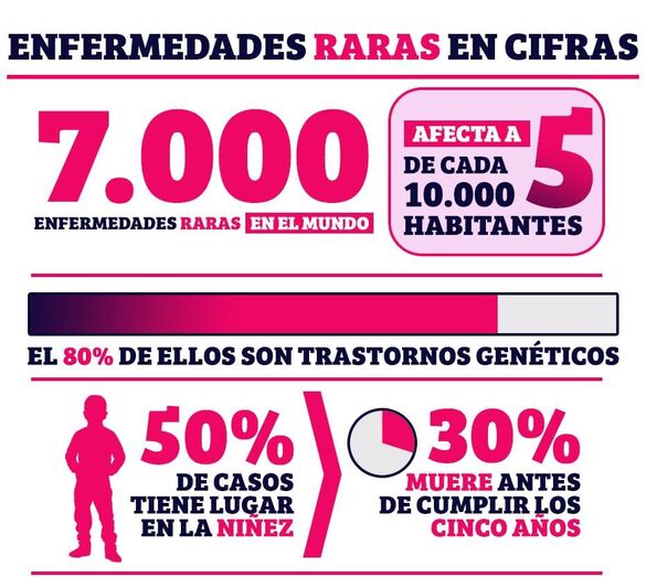 alimentacionrecorte1