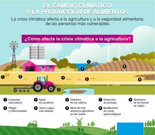 cambio climatico y produccion de alimentos