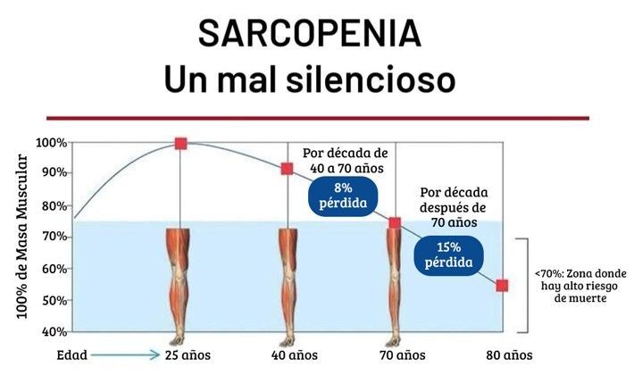 sarcopenia02