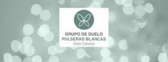 sillanavidad02