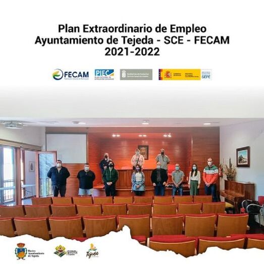 planempleoenero