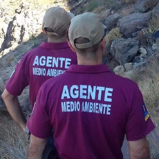 agentes6