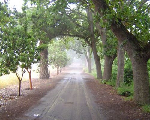 finca de osorio