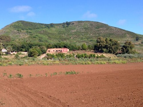 finca de osorio8