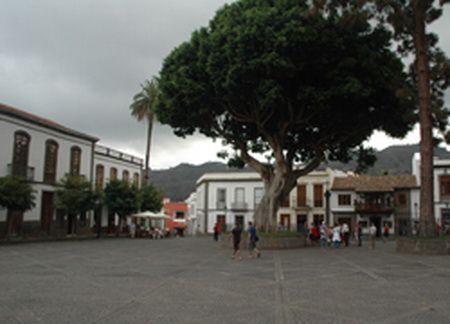 plaza del pino 9