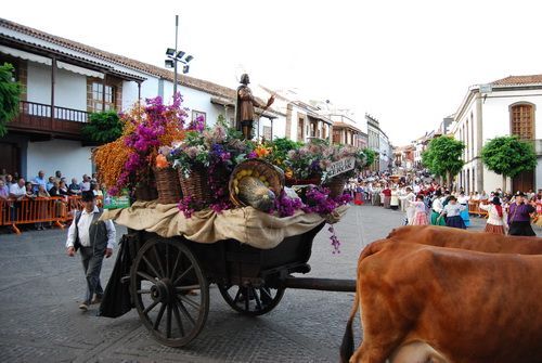 romeria del agua