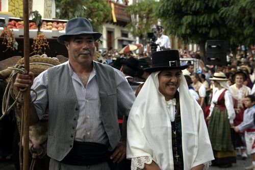 romeria del pino