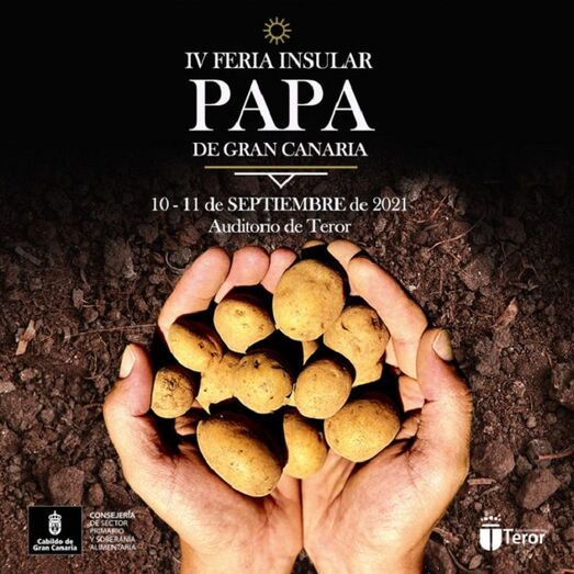 CARTEL IV FERIA INSULAR PAPA 777x777