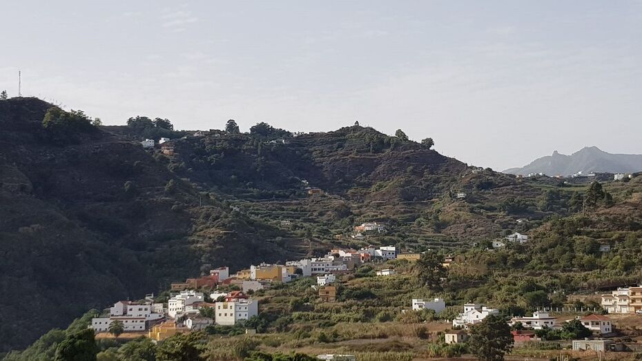 elfaro