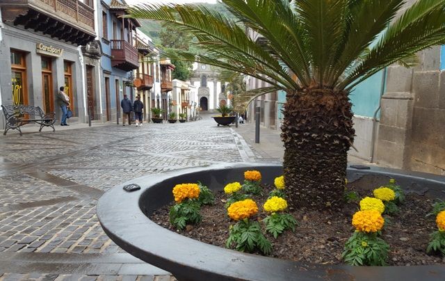 campaña FloreceTE
