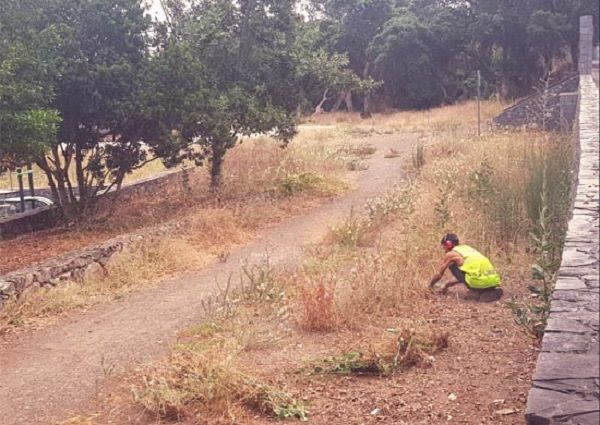 parque jose hernandez