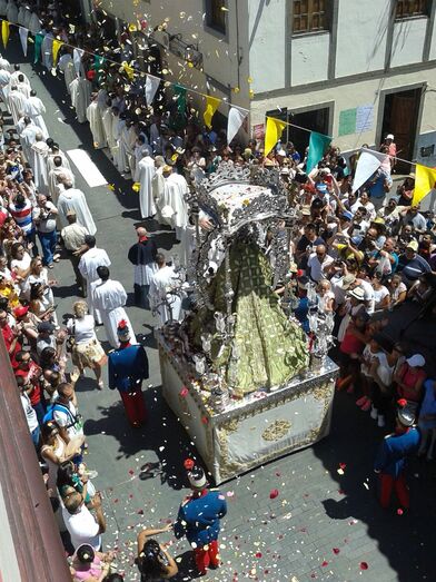 PROCESIONELPINOHIST01