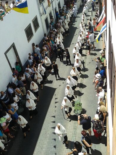 PROCESIONELPINOHIST05