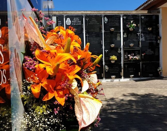 13 CEMENTERIO FLORES 1 777x610