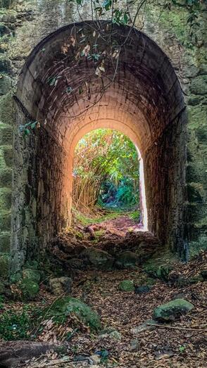 18 sendero Alamo Arbejales8