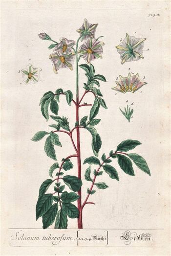 0473045c e009 487f 9141 43cf247c8013