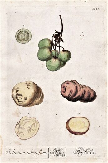 5ad5841a 61f8 424a baec d7d22f9238f6