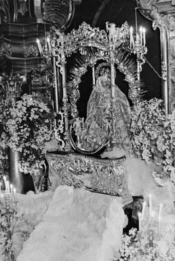 bajadadelcamarinJLYR