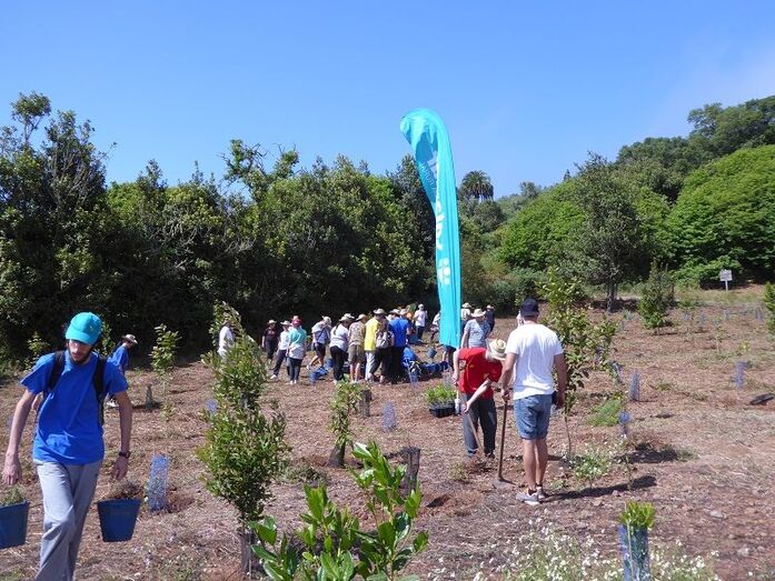 actuacionmedioambiental