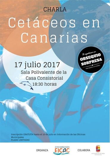 cartel cetaceos