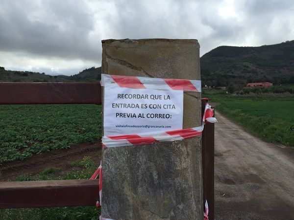 entradaosorio