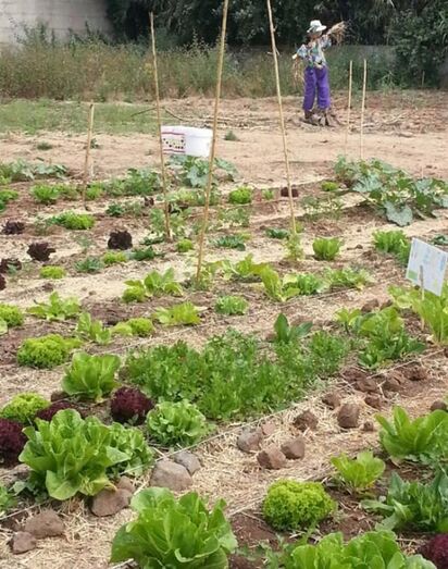 huertoescolarmoseñor