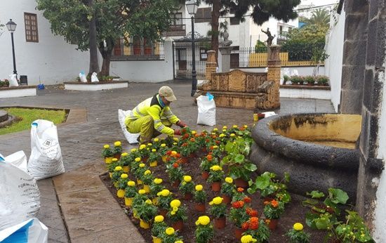 jardin teresa bolivar