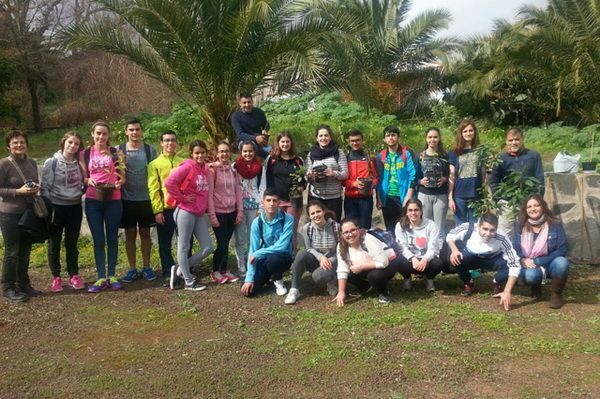 laurisilvaplantacion