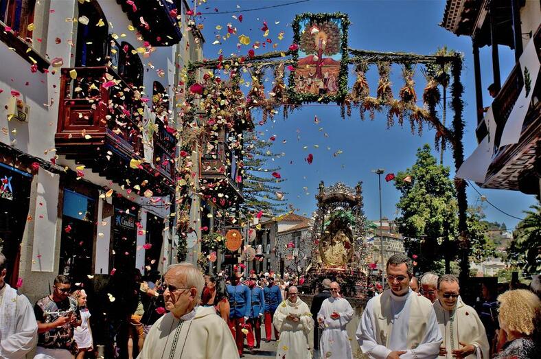 procesionelpino2016002