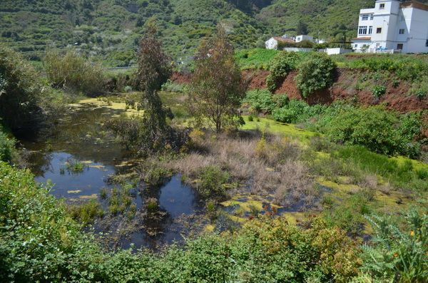 solarresidenciateror