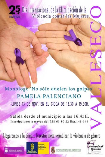 Cartel programa 25N
