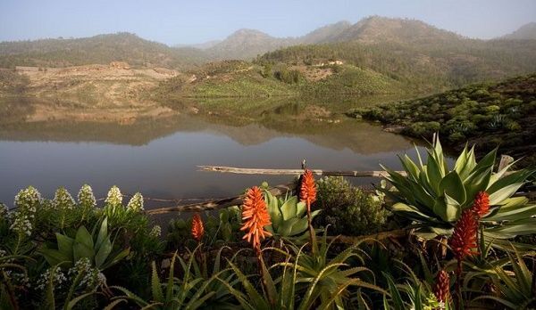 Parque de Pilancones