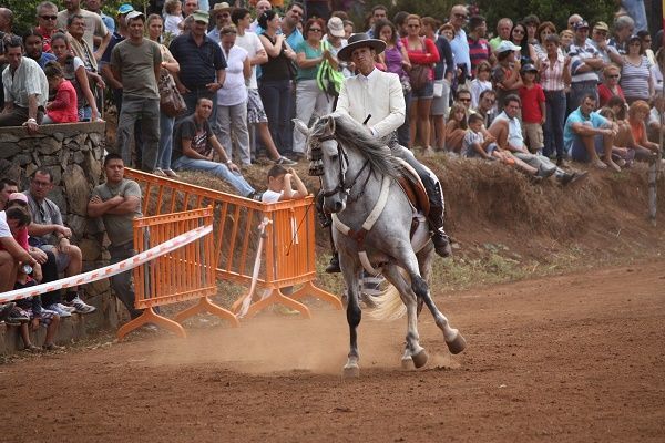 caballos87