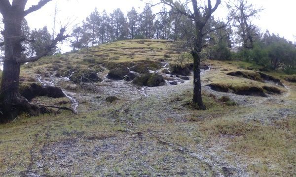 hidricos