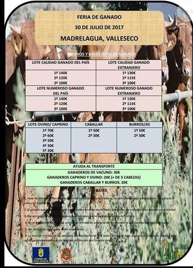 premios feria madre 17