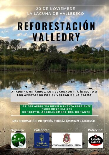 REFORESTACIÓN VALLEDRY 1